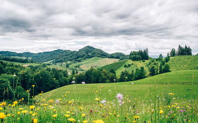 Ferieudlejninger i Steiermark