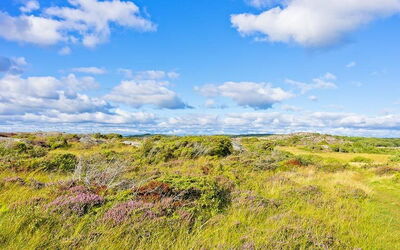 Ferieudlejninger i Halland