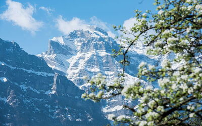 Ferieudlejninger i Glarus