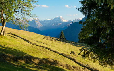 Ferieudlejninger i Glarus