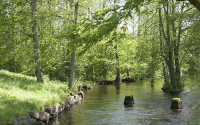 Ferieudlejninger i Kronoberg