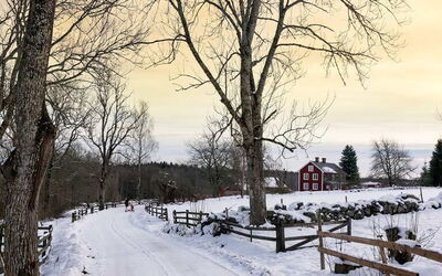 Ferieudlejninger i Kronoberg