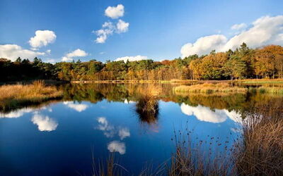 Ferieudlejninger i Drenthe