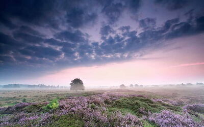 Ferieudlejninger i Drenthe