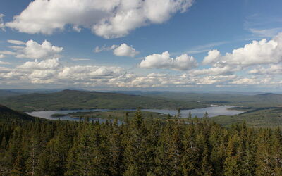 Ferieudlejninger i Värmland
