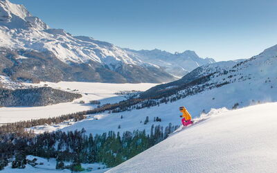 Ferieudlejninger i Telemark