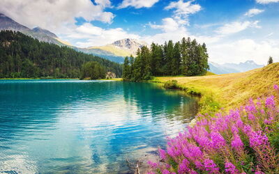 Ferieudlejninger i Graubünden