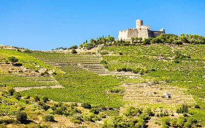 Ferieudlejninger i Languedoc-Roussillon