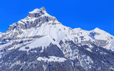 Ferieudlejninger i Obwalden