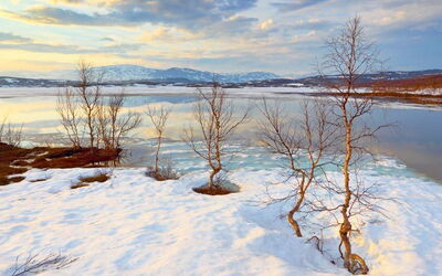 Ferieudlejninger i Norrbotten