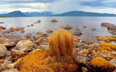 Ferieudlejninger i Norrbotten