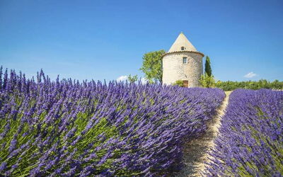 Ferieudlejninger i Provence-Alpes-Cote d'Azur