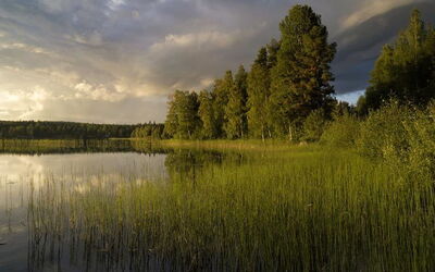 Ferieudlejninger i Gävleborg