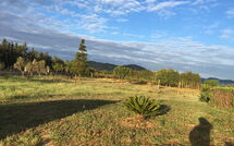 Billeder fra gæster i Can Barbara