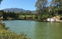 Billeder fra gæster i Benalmádena Costa 121