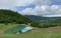 Billeder fra gæster i Fattoria Il Monte