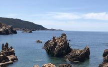 Billeder fra gæster i Villa Borgo dei Fiori Ginepro