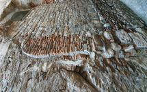Billeder fra gæster i I Corsari del Corallo - Cervo