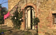 Billeder fra gæster i Podere Orietta