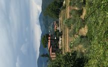 Billeder fra gæster i La Castagnara