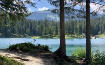 Billeder fra gæster i Suite 07-03