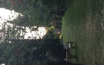 Billeder fra gæster i Montegufoni