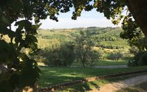 Billeder fra gæster i Montegufoni