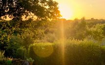 Billeder fra gæster i Country House Il Galleto