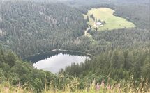 Billeder fra gæster i Hallenbadweg