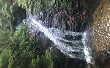 Billeder fra gæster i Hallenbadweg