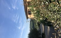 Billeder fra gæster i Montegufoni