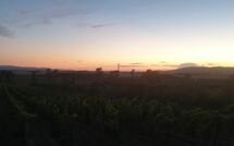 Billeder fra gæster i Borgo Casa di Lappi