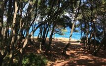 Billeder fra gæster i Labin 767