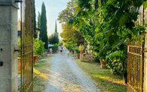 Billeder fra gæster i Tenuta Il Tresto