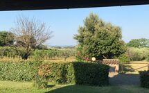 Billeder fra gæster i Poderino