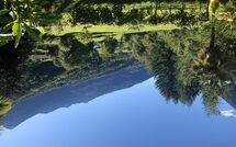 Billeder fra gæster i Castro 150