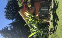 Billeder fra gæster i Castro 150