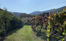 Billeder fra gæster i Bettina!