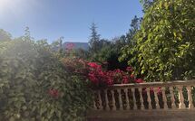 Billeder fra gæster i Son Real