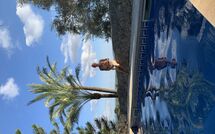 Billeder fra gæster i Son Real