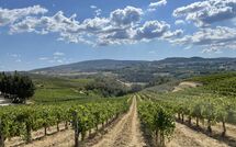 Billeder fra gæster i Fattoria Pogni