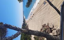 Billeder fra gæster i Miami Platja 496