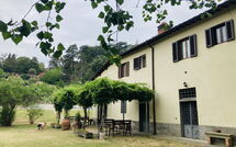 Billeder fra gæster i Podere Valcellino New