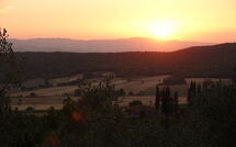 Billeder fra gæster i Querciolaia