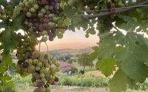 Billeder fra gæster i Casa della Peschiera