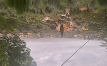 Billeder fra gæster i Il Poggiolo