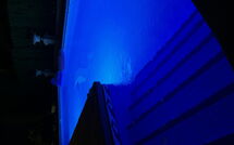 Billeder fra gæster i Villa Albert