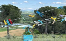 Billeder fra gæster i Poggio Falcone