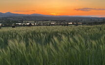 Billeder fra gæster i Poggio Falcone