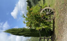 Billeder fra gæster i La Rimessa